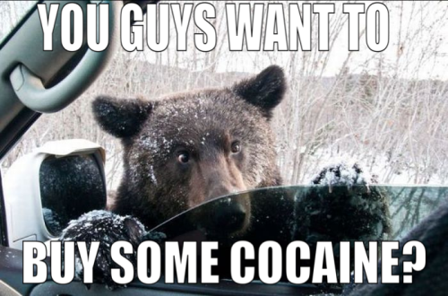 Wanna buy some cocaine?
