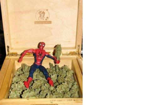 Very nice relax spiderman