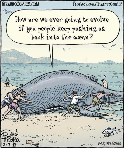 Evolution