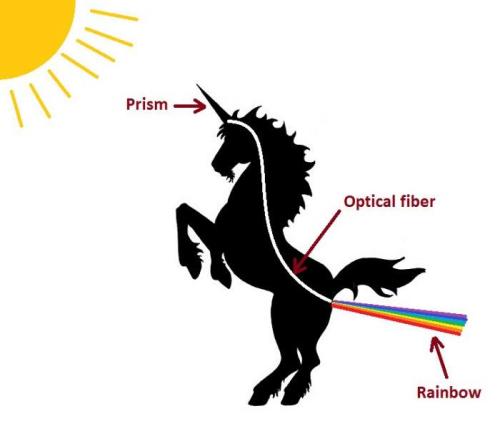 Rainbow