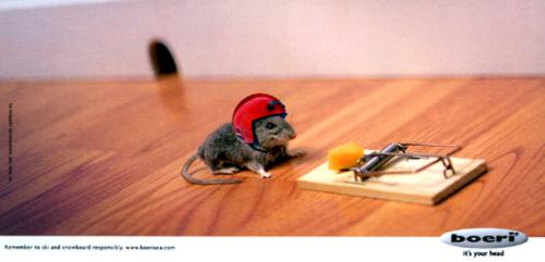Smartass