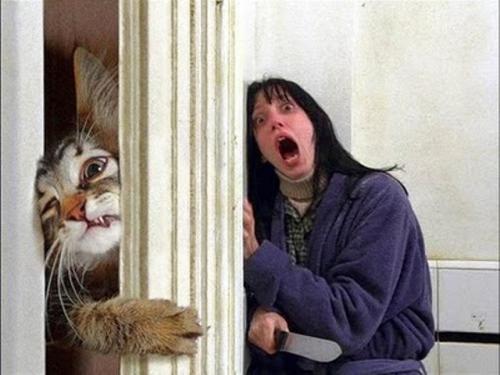 The Shining