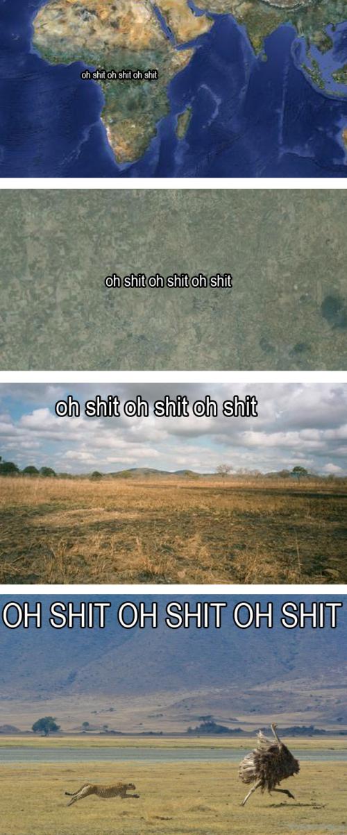 Oh shit Oh shit Oh shit