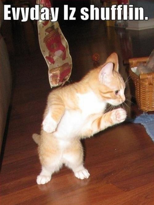 Shufflin Evyday
