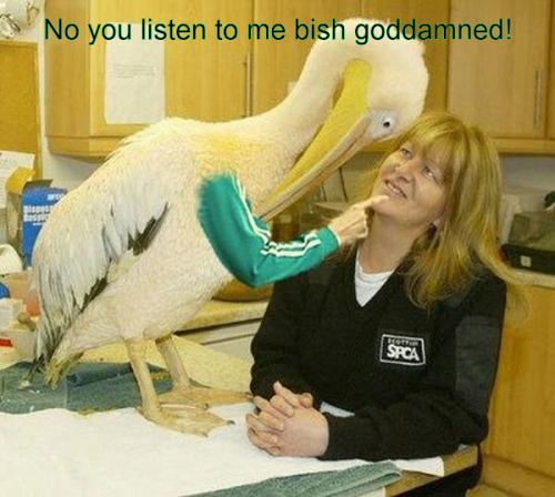 Bish goddamned!
