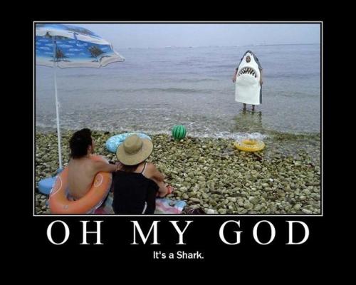It's a shark