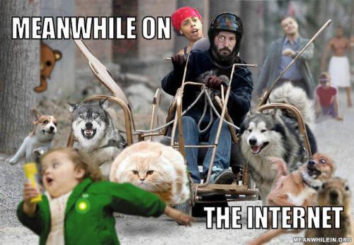Meanwhile in on the internet...