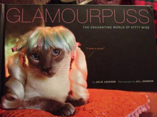 Kitty wigs