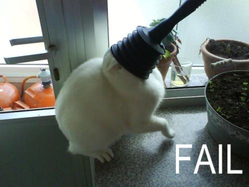 Fail