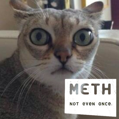 Methcat