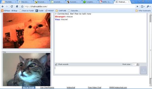 Catroulette