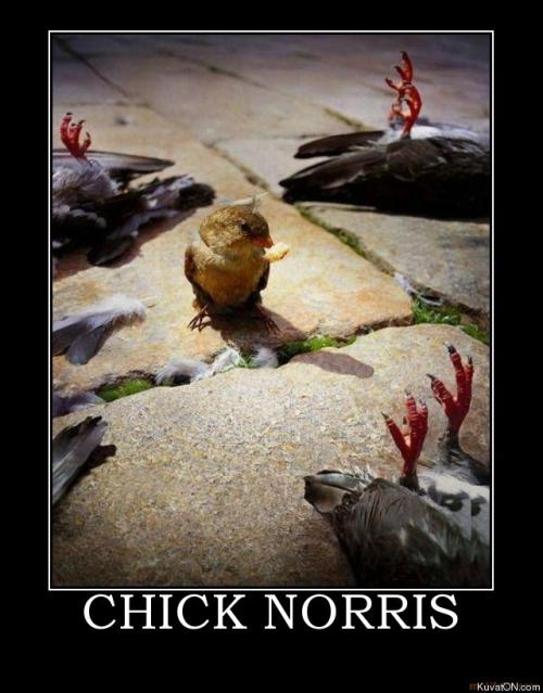 Chick Norris