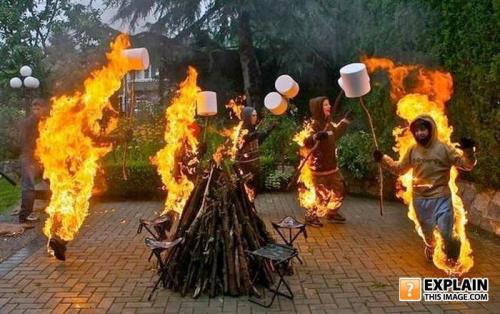How to cook marshmallows