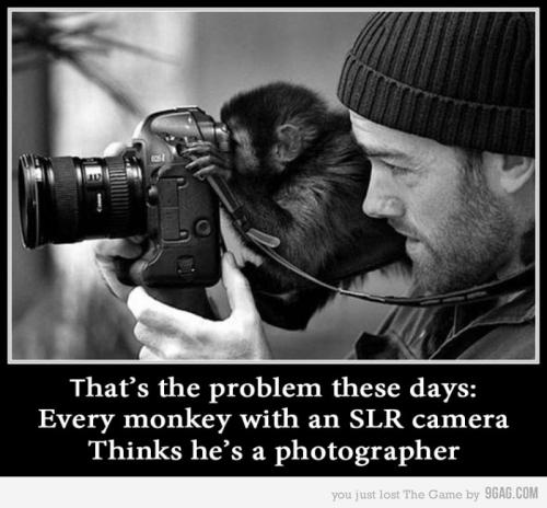 Monkey with a camera