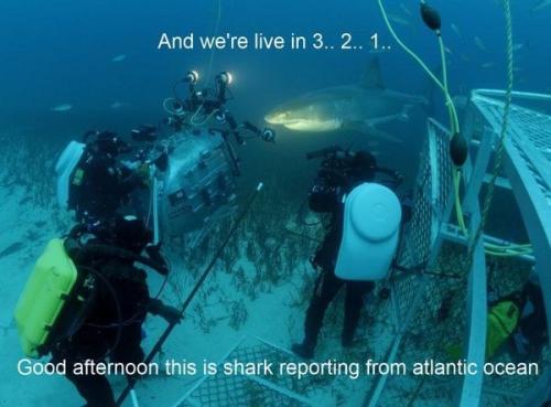 Reporting from Atlantic Ocean
