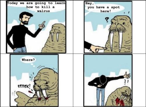 How to kill wallrus