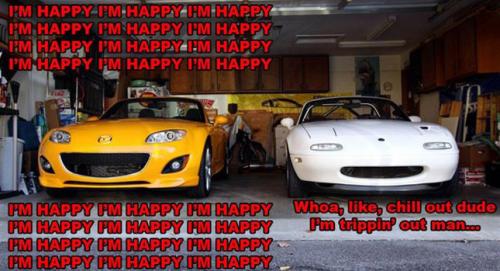 Goofy cars