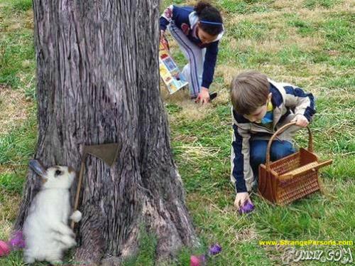 Bunny killer