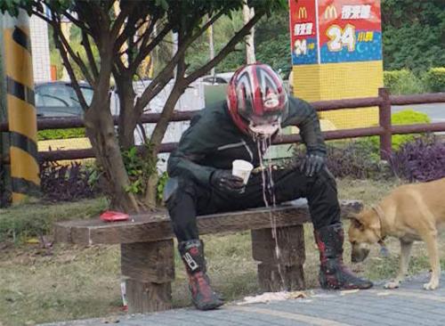Diet for dog?