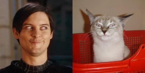 parker...