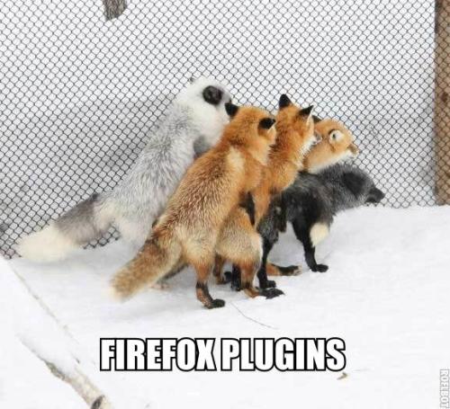 Firefox plugins