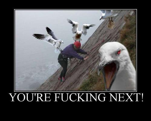 You're fucking next!