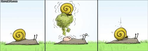 Snail