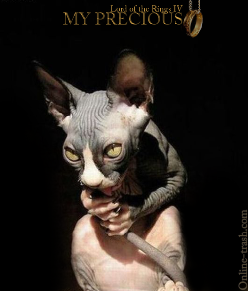 Lord of the Rings IV - My Precious