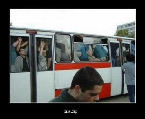 Bus