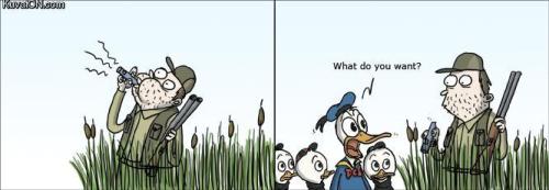 Donal Duck