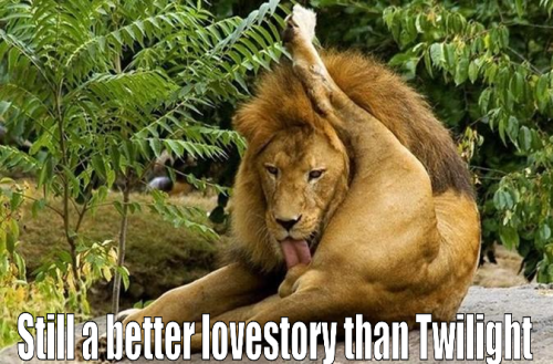 Better than Twilight