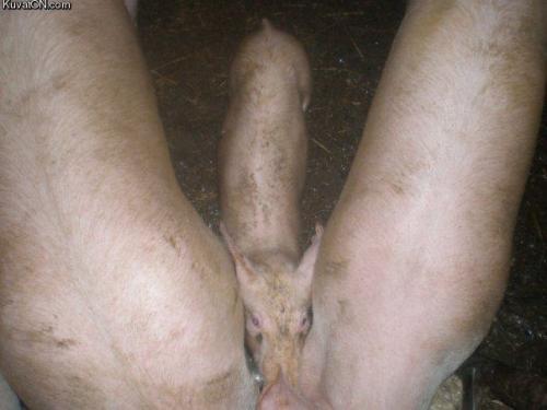 What did You see at first