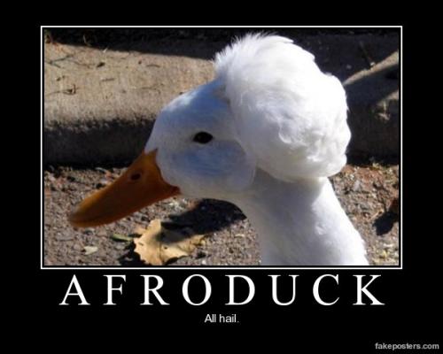 Afroduck