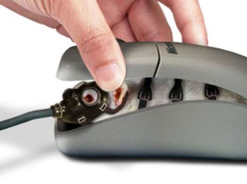 Mouse