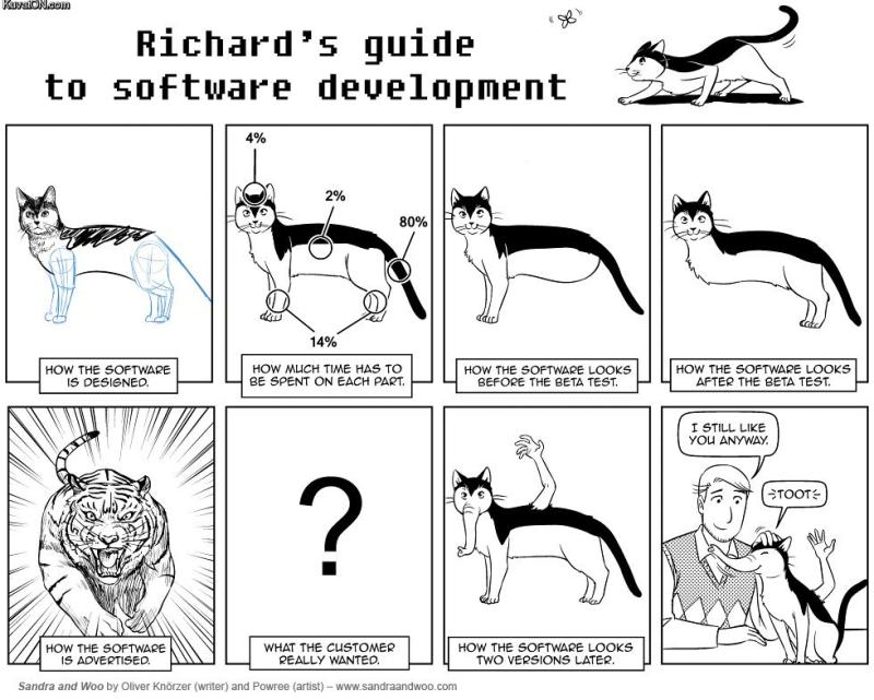 Software development